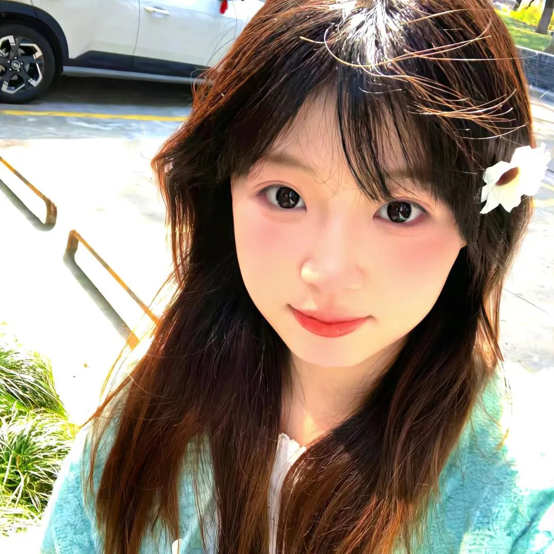 朵儿的战争